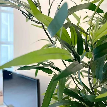 Le Pommeraye * Nantes