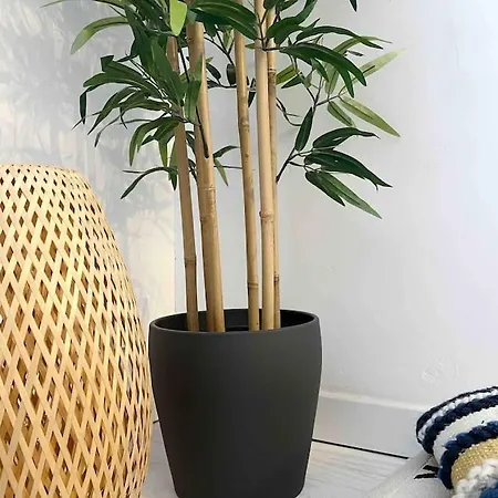 Le Pommeraye ナント