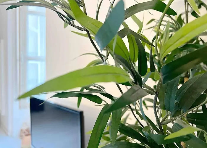 Le Pommeraye * Nantes